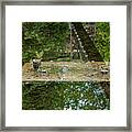 Reflection Of The Past Framed Print