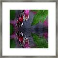 Reflection On The Water Puddle Framed Print