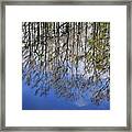 Reflection Straight Up Framed Print