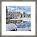 Reflections In The Merced River Yosemite National Park Framed Print