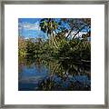 Reflections In The Tropics Oil Painting Framed Print