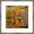 Reflections Of Autumn Framed Print