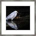 Reflections Of......... Framed Print