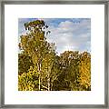 Reflections On The Lake Framed Print