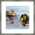 Reflections Two Framed Print