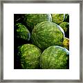 Renaissance Green Watermelon Framed Print