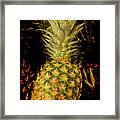 Renaissance Pineapple Framed Print