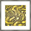 Renal Gold Framed Print