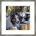 Resting At The Beach Framed Print