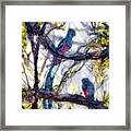 Resplendent Quetzal #1 Framed Print