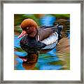 Resting In Pool Of Colors Framed Print