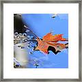 Resting On Gold And Blue Framed Print