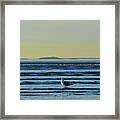 Revere Beach Seagull Revere Ma Framed Print