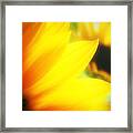 Reverie Three Framed Print