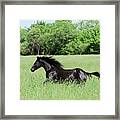The Wind In Stardust Meadows Framed Print