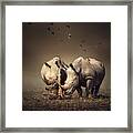 Rhino's With Birds Framed Print