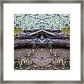 Ribbit And Ribbit Framed Print