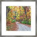 Rich Mountain Road Framed Print