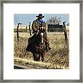 Ridding The Fence Framed Print