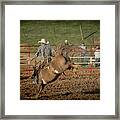 Ride Em Cowboy Framed Print