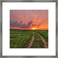 Ride Off Into The Sunset Framed Print