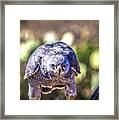 Right At You Framed Print