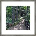 Right Of Way Framed Print