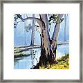 River Gum Framed Print