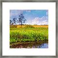 Riverside Landscape Framed Print