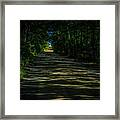 Road Through The Woods Framed Print