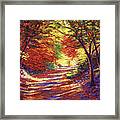 Road To Golden Light Framed Print