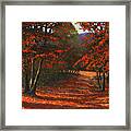 Road To The Clearing Framed Print