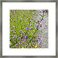 Roadside Flowers Framed Print