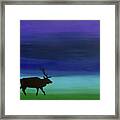 Roaming Elk Framed Print