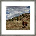 Roaming Framed Print