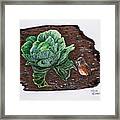 Robin In The Gardin Framed Print