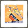 Robin Perched On Fence #2 Framed Print