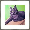 Robyn Date With Paint Mar 19 Framed Print