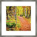 Rock And Bench Framed Print