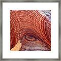 Rock Art Framed Print