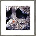 Rock Face Framed Print