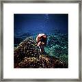 Rock Mermaid Framed Print