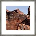 Rock Texture And Lichen Framed Print