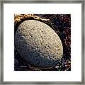 Rocks From Talisker Beach 4 Framed Print