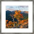 Rocky Mountain National Park Autumn Framed Print