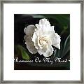 Romance Rose Framed Print