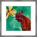 Rooster And Plumeria Framed Print