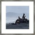 Roots Touch Pacific Framed Print