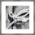 Rope On A Fence Framed Print