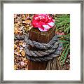Rope Pillar And Camellia Framed Print